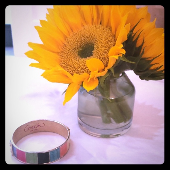 Coach Jewelry - Coach multi colored lacquer on gold bracelet Coach Jewelry - Coach multi colored lacquer on gold bracelet